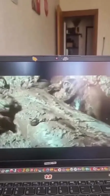 Рождение Лурца из пакета