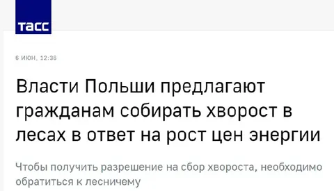 Полякам предложили собирать хворост