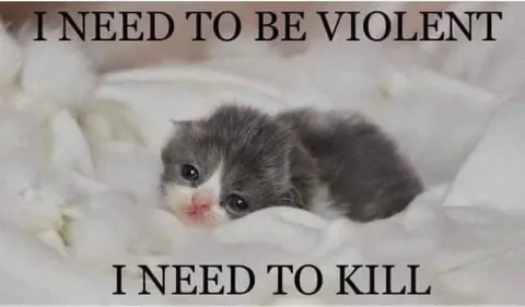 I Need to Be Violent Kitten