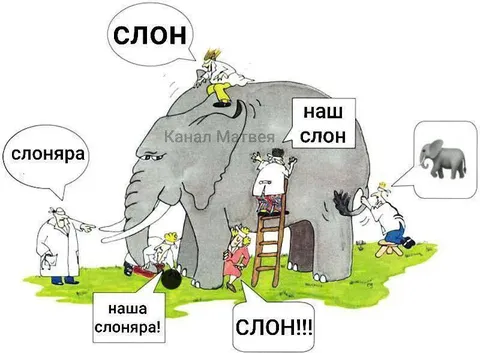 Наш слоняра