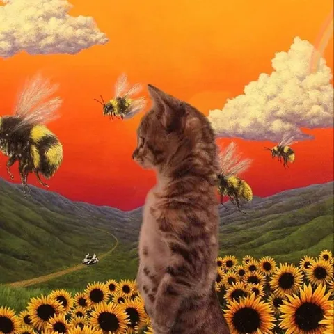 Кот среди гигантских шмелей