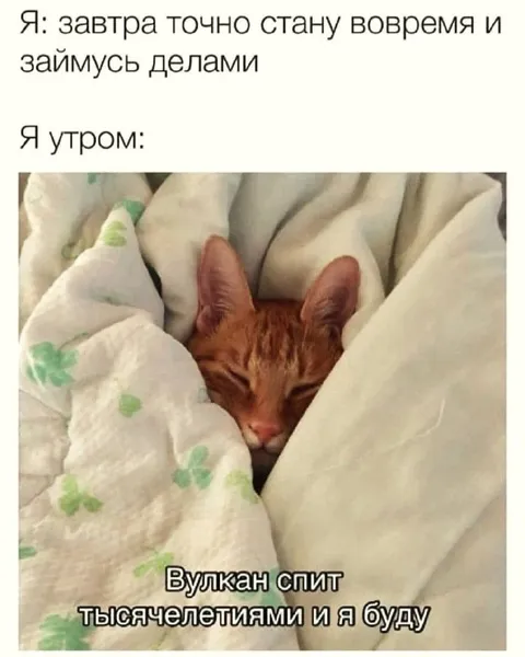 Завтра точно встану вовремя