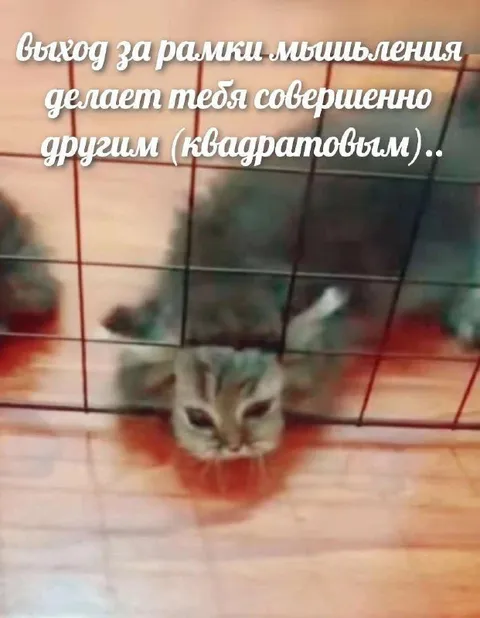 Выход за рамки мышления