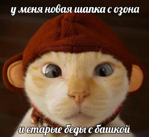 Новая шапка с озона