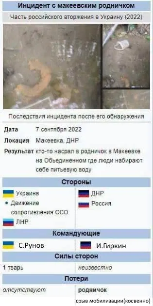 Инцидент с макеевским родничком