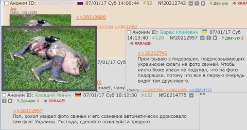 Хохлы видят флаг там, где его нет