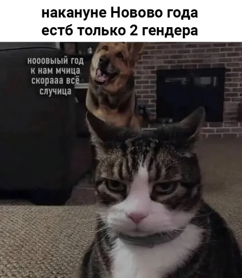 Два гендера накануне Нового года