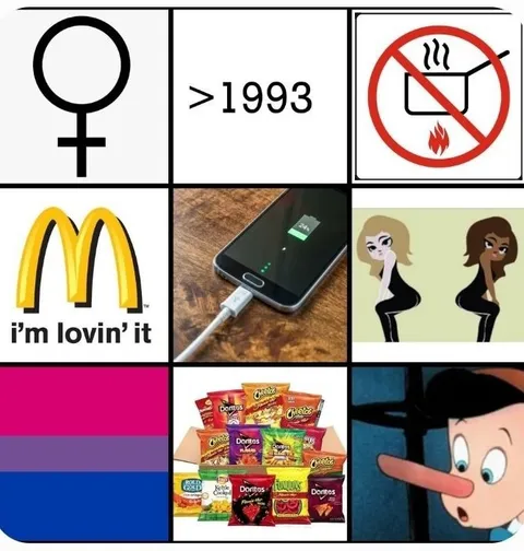 Bisexual collage of random references
