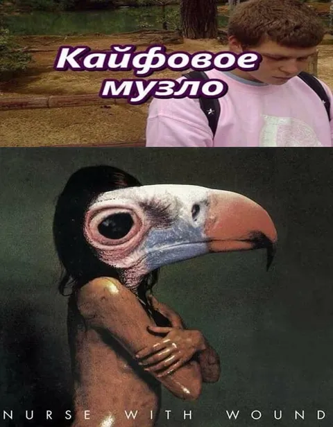 Кайфовое музло Nurse With Wound