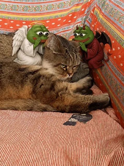 Ангел и дьявол на плечах кота