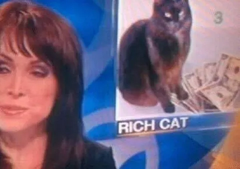 Rich Cat Reaction