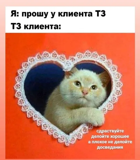 Клиент прислал ТЗ