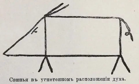 Свинья в угнетённом расположении духа