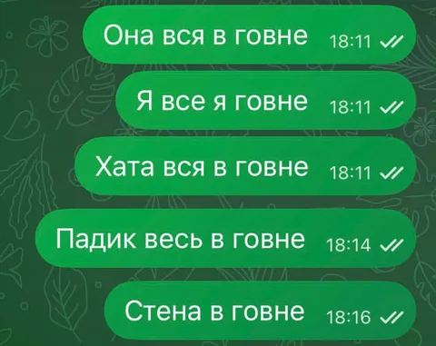 Всё в говне