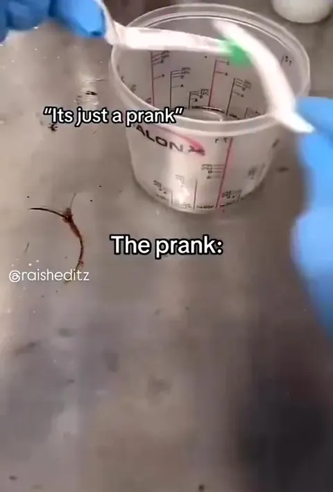 The Prank Is Just Buying Toothbrushes