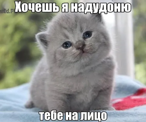 Хочешь я надую на лицо