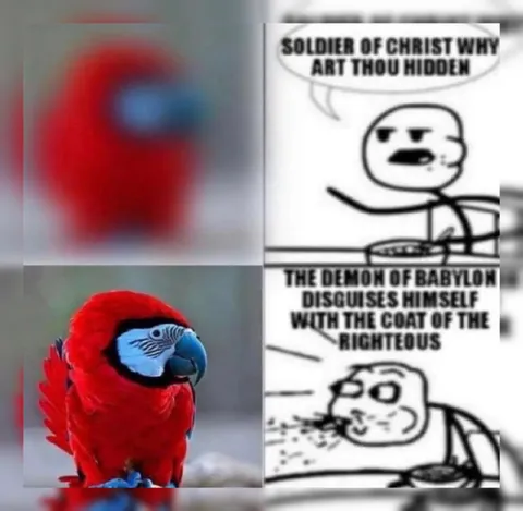 Demon Disguised as a Parrot