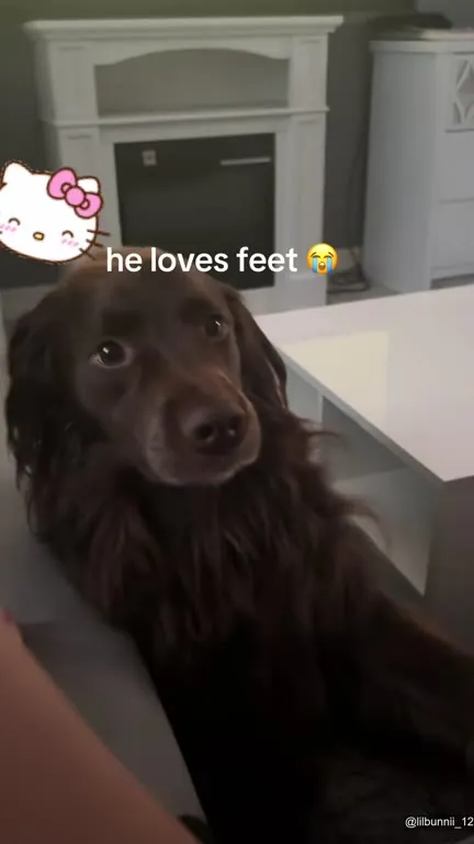 He Loves Feet