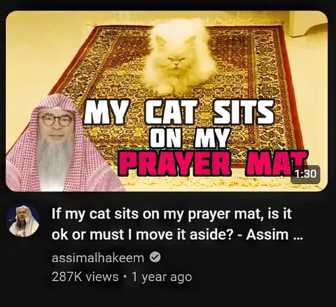 Cat on Prayer Mat
