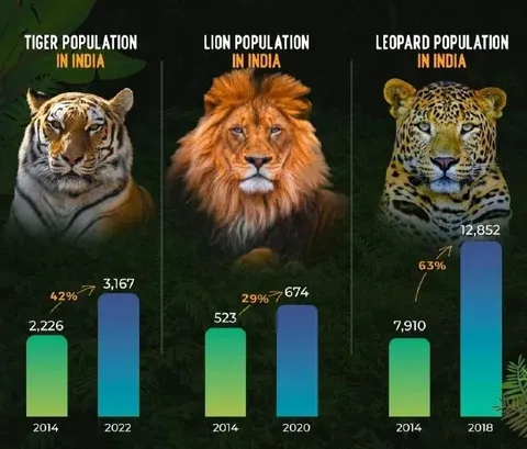 India Big Cat Population Growth
