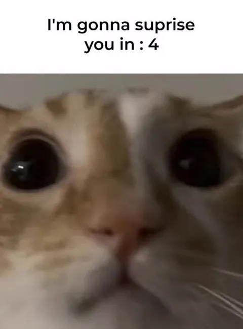 Cat Surprise Countdown Punch