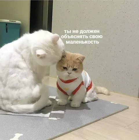 Ты не должен объяснять свою маленькость