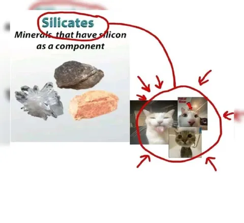 Cats Are Silicates
