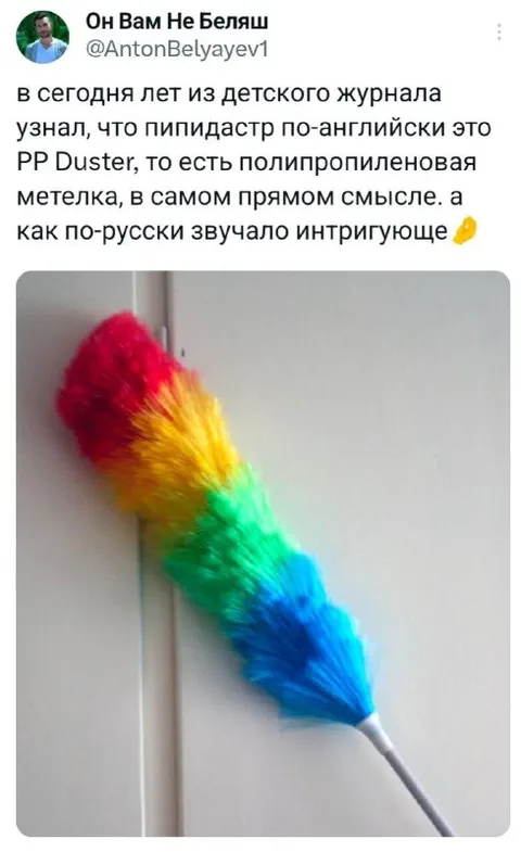 Пипидастр по-английски