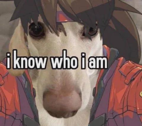 I Know Who I Am Dog