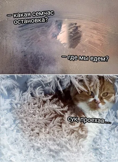 Куда мы едем зимой
