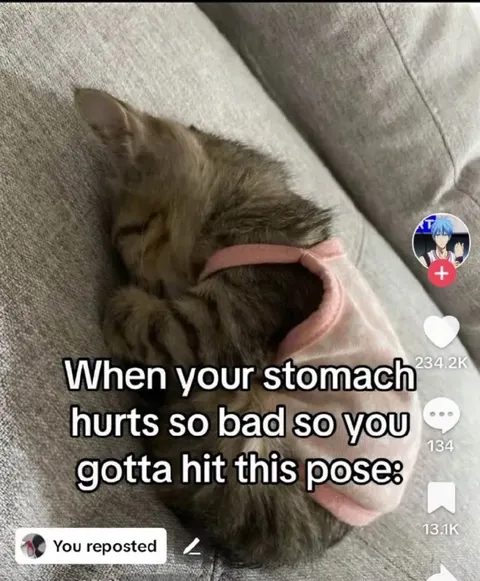 Cat With a Stomachache Pose