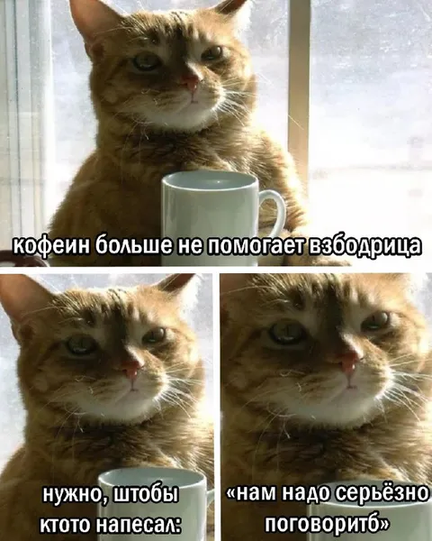 Кофеин больше не помогает