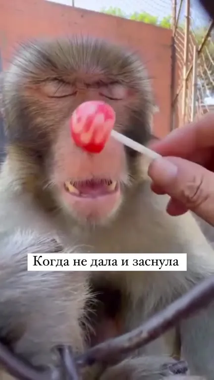 Когда не дала и заснула