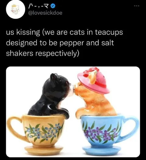 Cats Kissing in Teacups