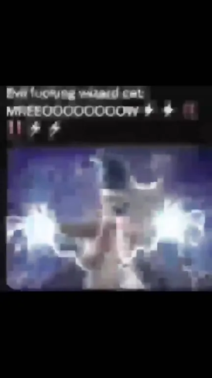 Evil Wizard Cat Thunder Meow