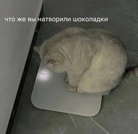 Что же вы натворили, шоколадки