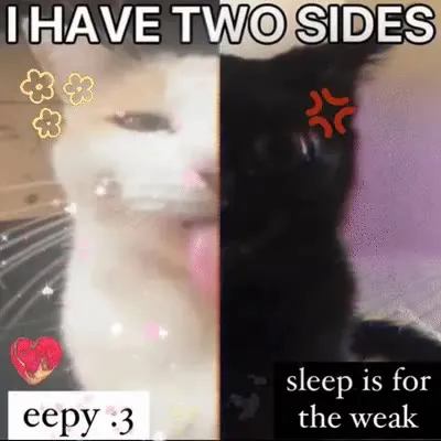 I Have Two Cat Sides