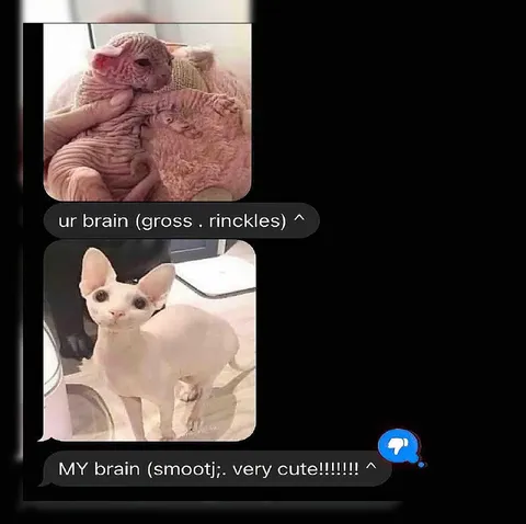 Your Brain Versus My Brain