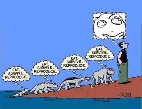 Eat Survive Reproduce Evolution