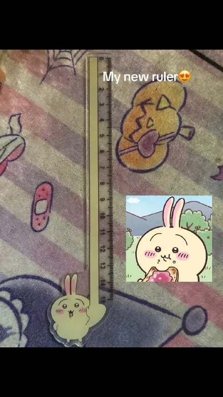 My New Ruler Bunny