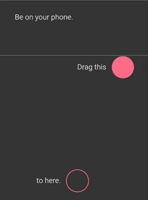Zen Phone Simulator