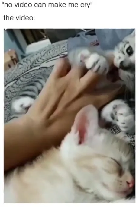 No Video Can Make Me Cry