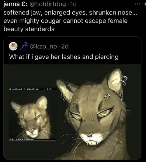 Female Beauty Standards Cougar