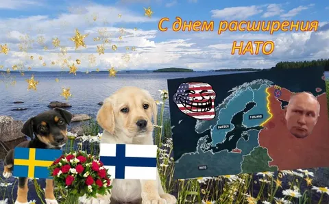 С днём расширения НАТО