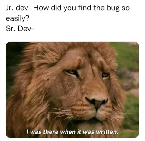 Senior Developer Found the Bug