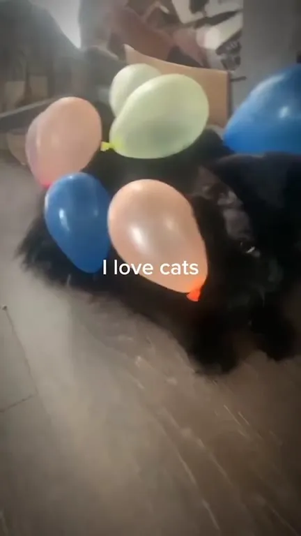 I Love Cats Balloon Escape