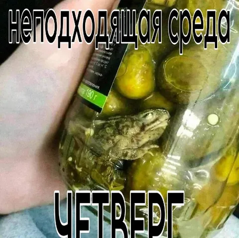 Лягушка в неподходящей среде