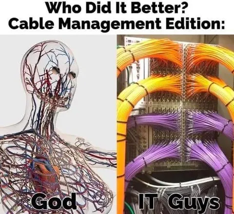 Cable Management: God vs IT Guys