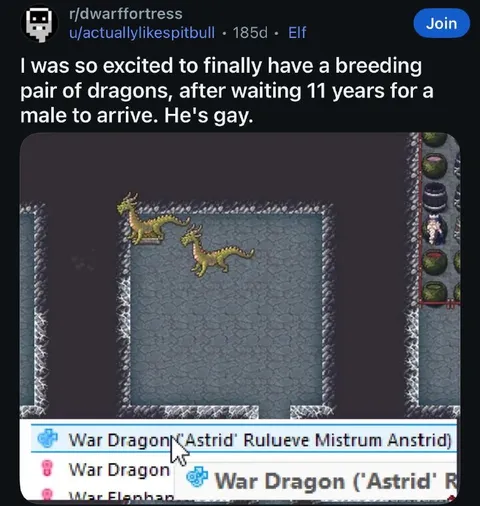 Gay Dragon Breeding Pair