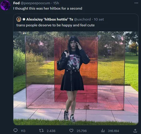 Thought Her Hitbox Was Visible